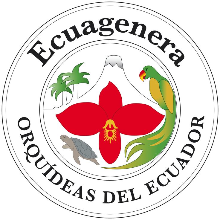 Ethically Sourced Plants - Part 1 - Ecuagenera