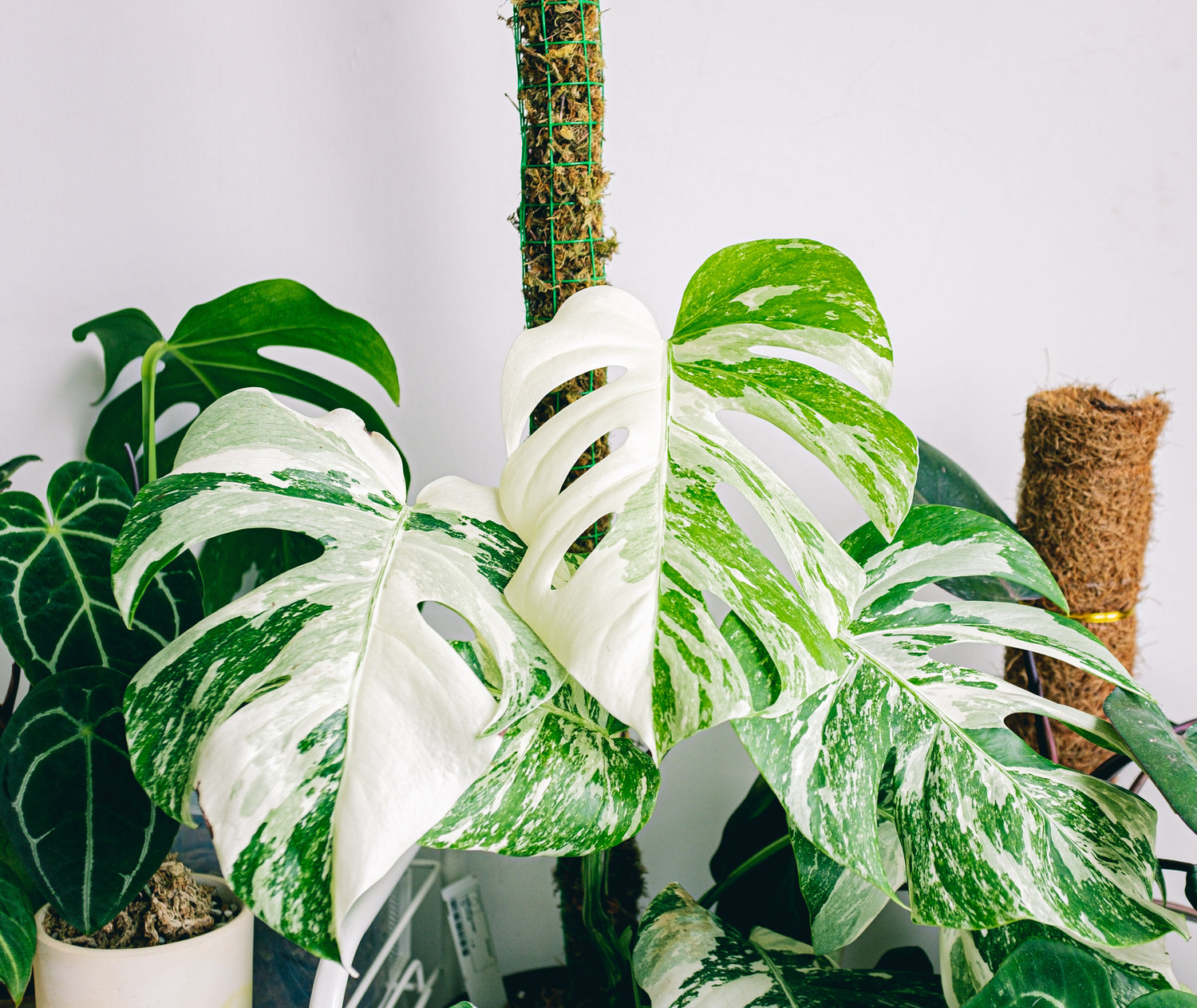 Photo by @huyphan on Unsplash 