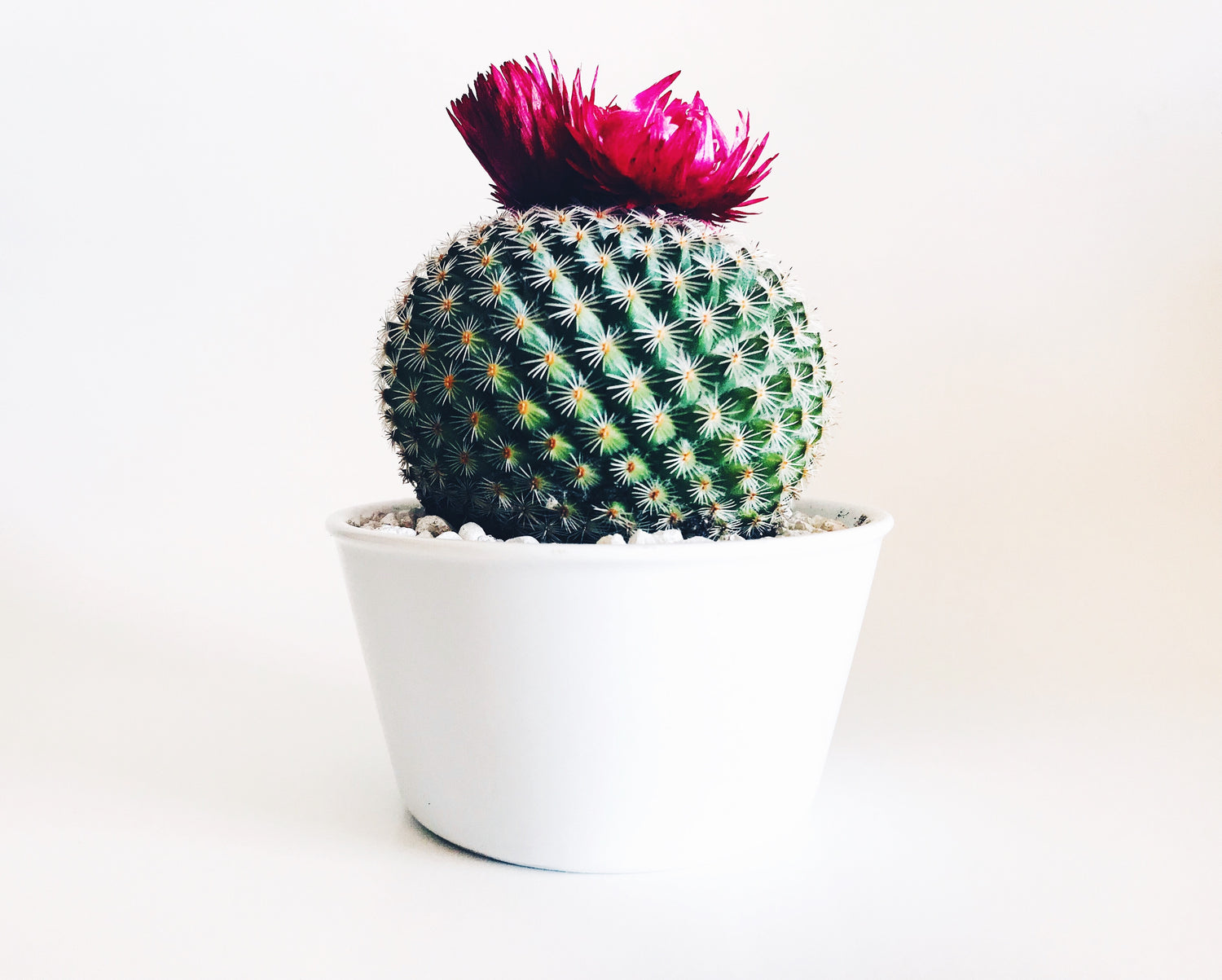 Photo by Stephanie Harvey on Unsplash 